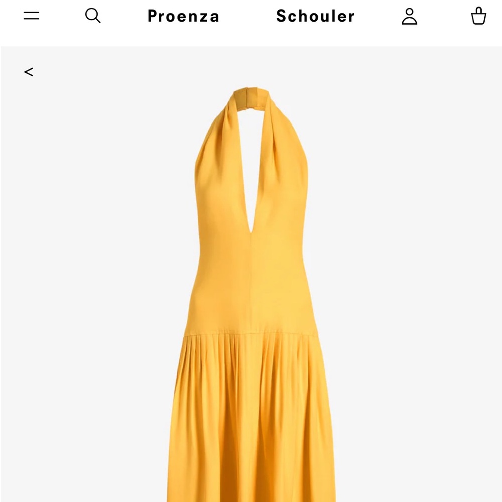 Proenza Schouler Tala Dress in Viscose Georgette